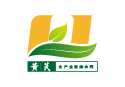 黄芪